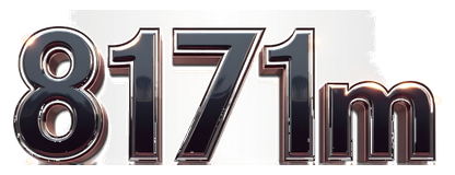 8171m logo